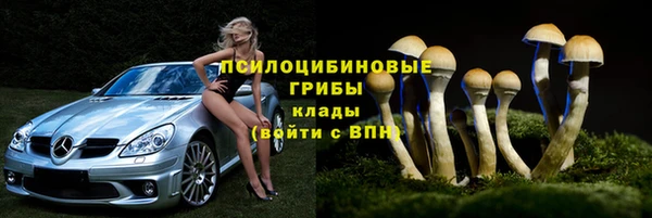 мдпв Лихославль